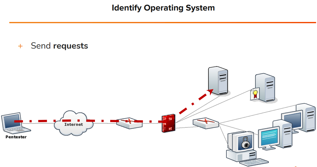 identify-operating-system-send-requests.png