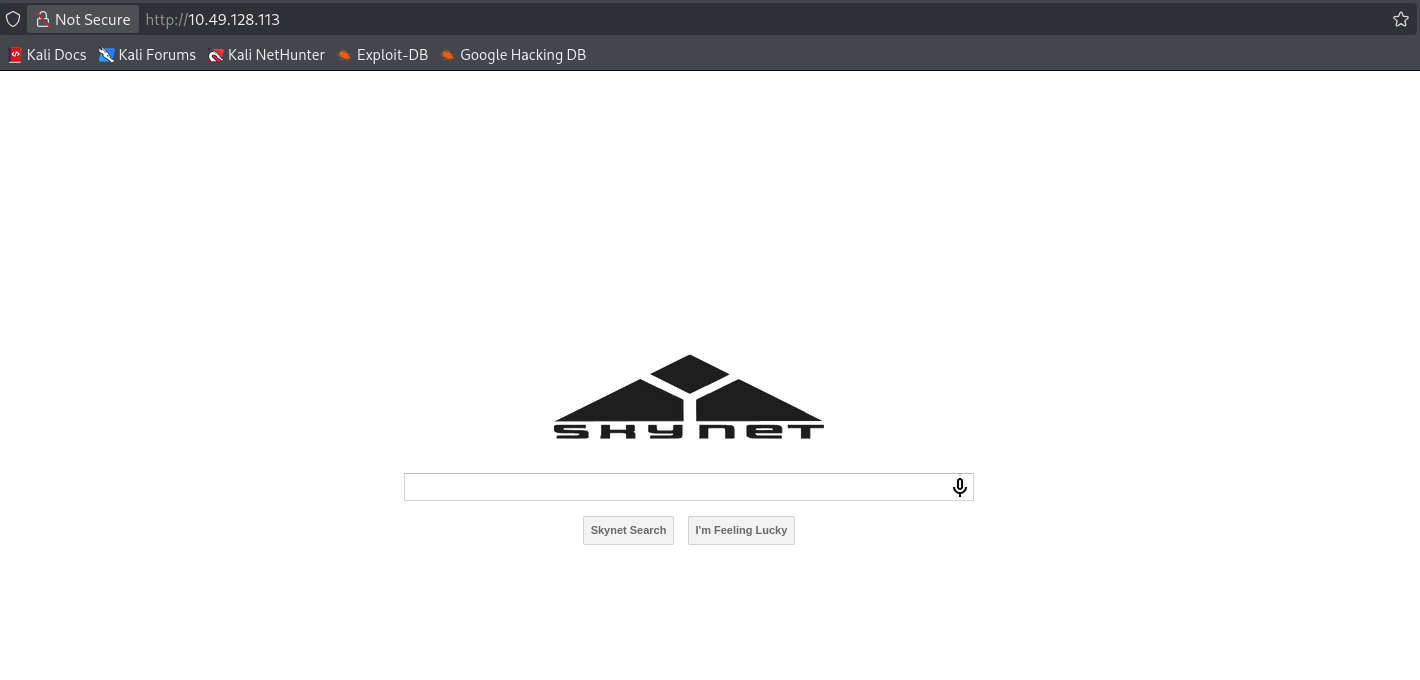 skynet_home_page.png